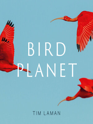 cover image of Bird Planet